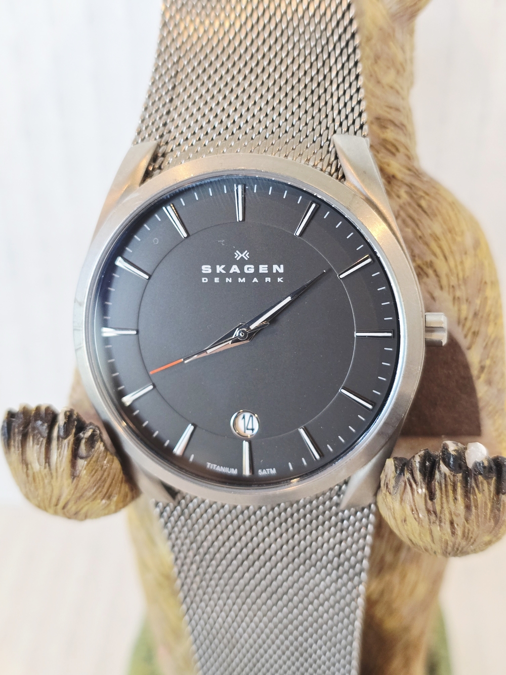 Skagen  SW6010 Silver Mesh Watch with Black Dial